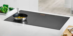 vitro induccion balay