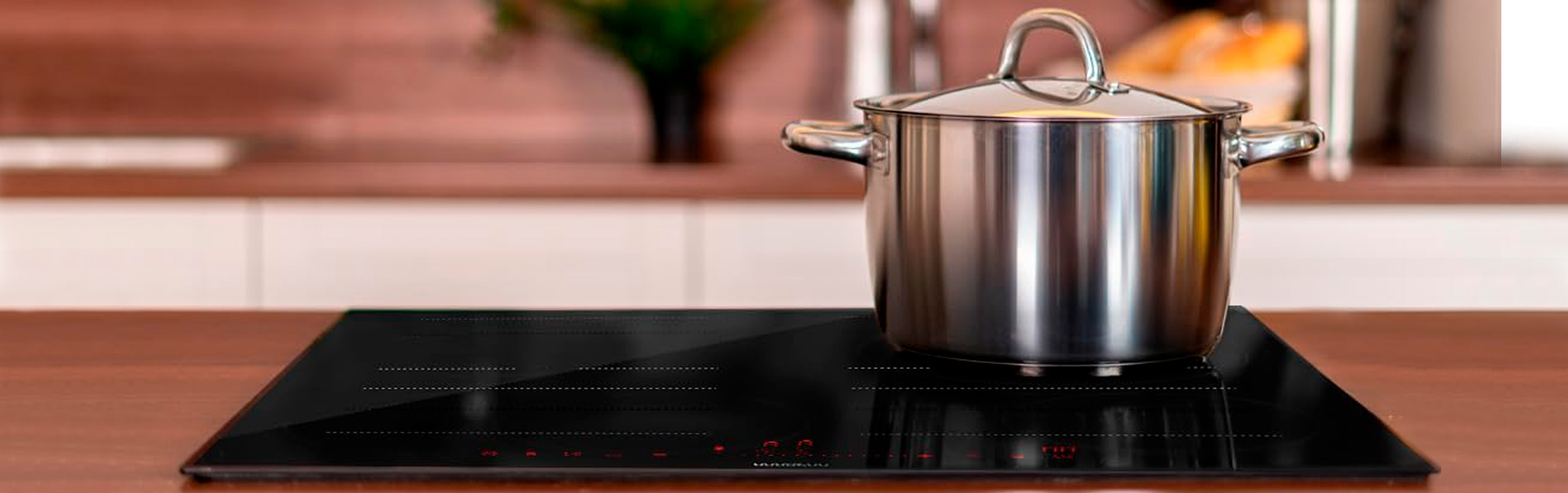 cecotec placa induccion